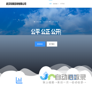 武汉双展咨询有限公司